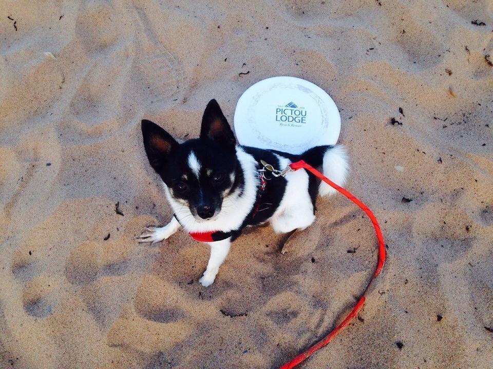Pictou Lodge Beach Resort מראה חיצוני תמונה